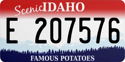 ID license plate E207576