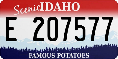 ID license plate E207577