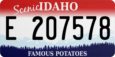 ID license plate E207578