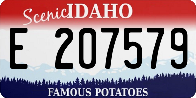 ID license plate E207579
