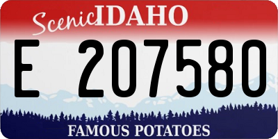 ID license plate E207580