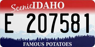 ID license plate E207581