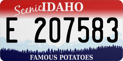 ID license plate E207583