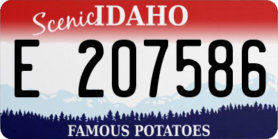 ID license plate E207586