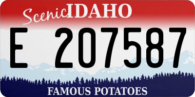 ID license plate E207587