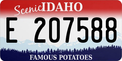 ID license plate E207588