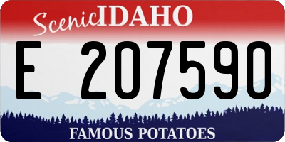 ID license plate E207590