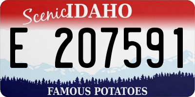 ID license plate E207591