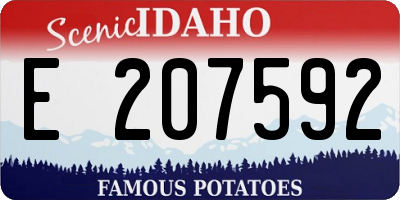 ID license plate E207592