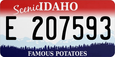 ID license plate E207593