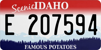 ID license plate E207594