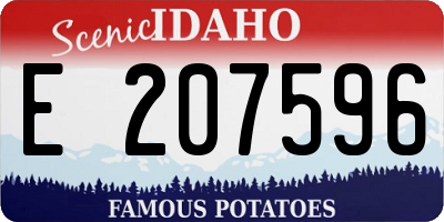 ID license plate E207596