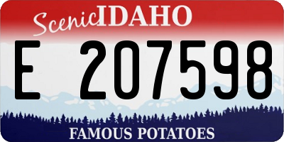 ID license plate E207598