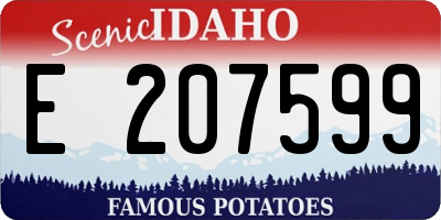 ID license plate E207599