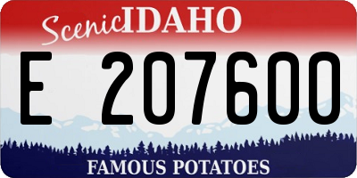 ID license plate E207600