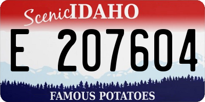 ID license plate E207604