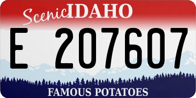 ID license plate E207607