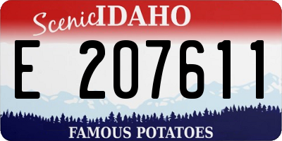 ID license plate E207611