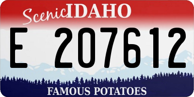 ID license plate E207612