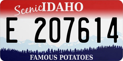 ID license plate E207614