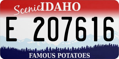 ID license plate E207616