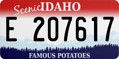 ID license plate E207617