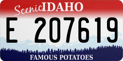 ID license plate E207619