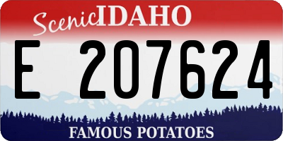 ID license plate E207624