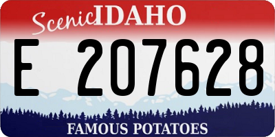 ID license plate E207628