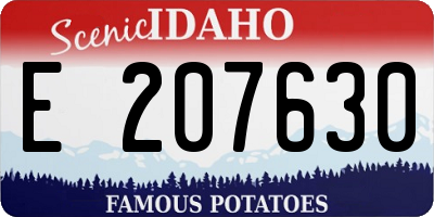ID license plate E207630