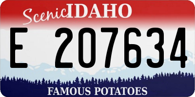 ID license plate E207634