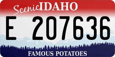 ID license plate E207636