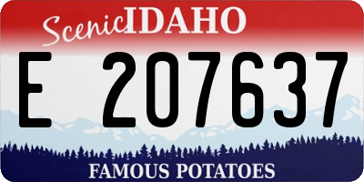 ID license plate E207637