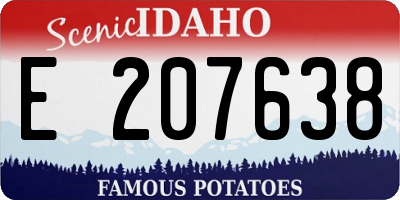ID license plate E207638