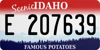 ID license plate E207639