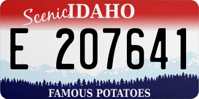 ID license plate E207641