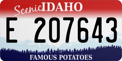 ID license plate E207643