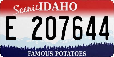 ID license plate E207644