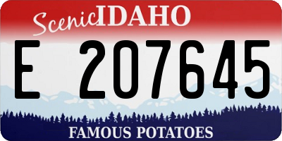 ID license plate E207645