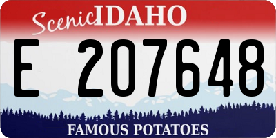 ID license plate E207648