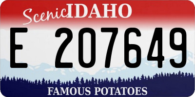 ID license plate E207649