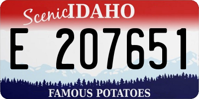 ID license plate E207651