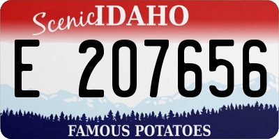 ID license plate E207656