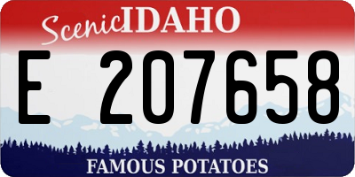 ID license plate E207658