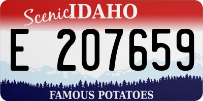 ID license plate E207659
