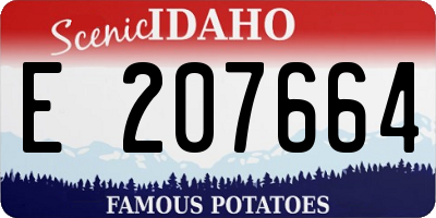 ID license plate E207664