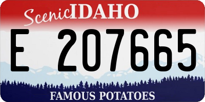 ID license plate E207665
