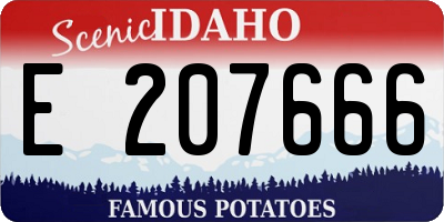 ID license plate E207666
