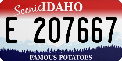 ID license plate E207667