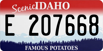 ID license plate E207668